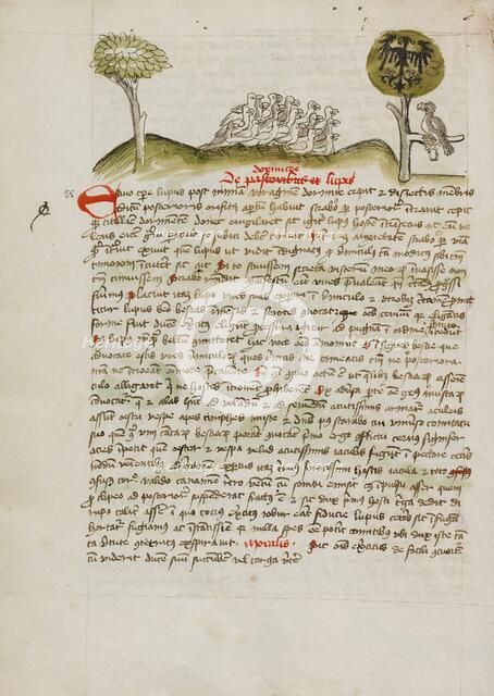 A Flock of Birds under a Tree including a Crowned Eagle with a..., third quarter of 15th century. Creator: Unknown.