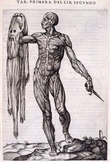A flayed man holding his own skin, 1556. Creator: Nicolas Beatrizet
