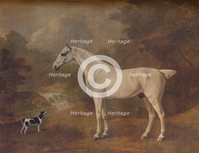 'A Flea-Bitten Grey and a Spotted Terrier', 1803.