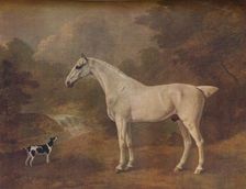 A Flea-Bitten Grey and a Spotted Terrier 1803