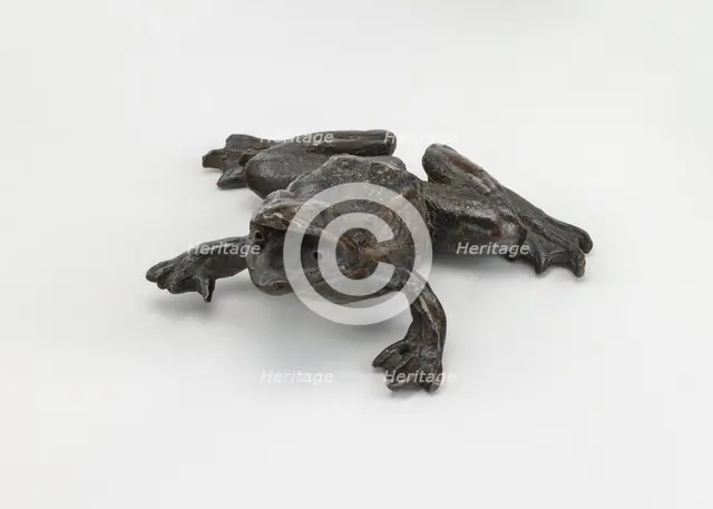 A Frog, early 16th century. Creator: Unknown.