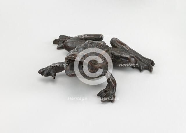 A Frog, early 16th century. Creator: Unknown.