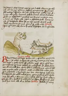 A Frog Sitting on a Hill Receiving a Vessel from a Group of Animals, third quarter of 15th century. Creator: Unknown