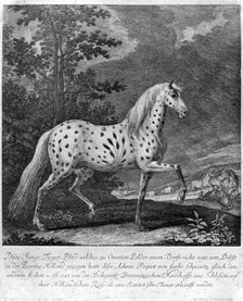 A freak in colour, Germany, 1722 (1938)