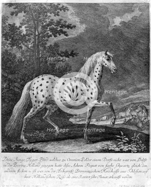 A freak in colour, Germany, 1722 (1938). Artist: Unknown