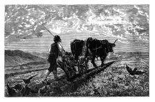 A French agriculturist, c1890