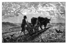 A French agriculturist, c1890