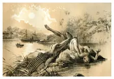 A Frightful Incident 1883