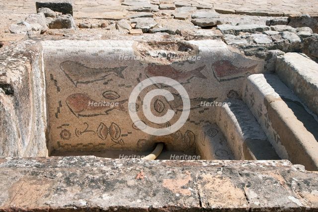 A frigidarium with fish mosaics in the public baths of Milreu, Portugal, 2009. Creator: Samuel Magal.