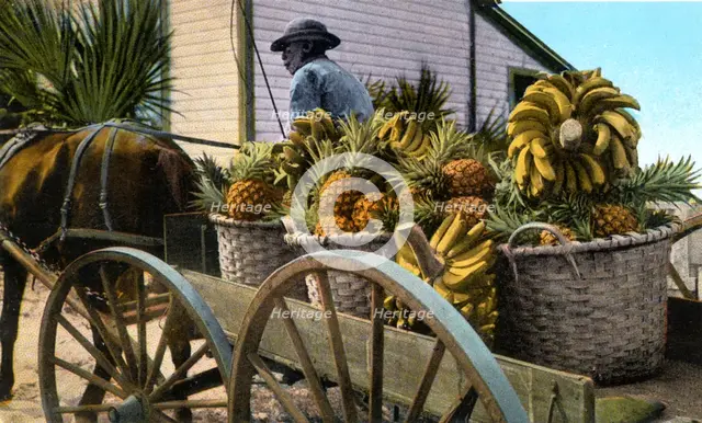 A fruit trader, Taboga Island, Panama, early 20th century. Artist: Unknown