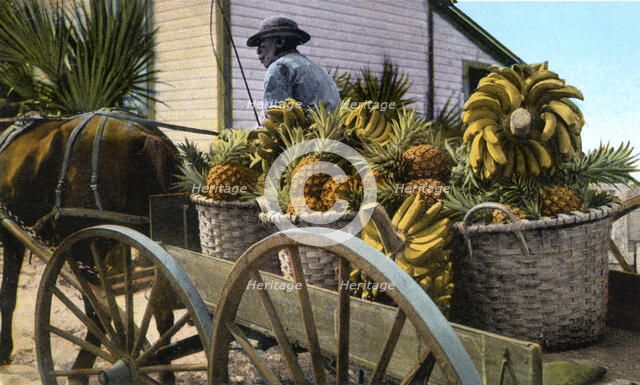 A fruit trader, Taboga Island, Panama, early 20th century. Artist: Unknown