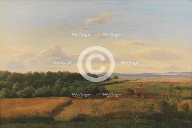 A Funen Landscape at Harvest Time with Wedellsborghoved in the Background, 1846. Creator: Dankvart Dreyer.