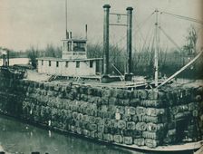 A full load of Cotton often mounts high over the decks of the Mississippi steamboats 1937