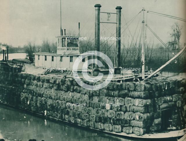 'A full load of Cotton often mounts high over the decks of the Mississippi steamboats', 1937. Artist: Unknown.