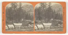 A Full Team on the Sierras - From the Central Pacific Railroad, 1867. Creator: Lawrence & Houseworth
