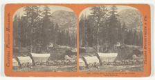 A Full Team on the Sierras - From the Central Pacific Railroad, 1867. Creator: Lawrence & Houseworth
