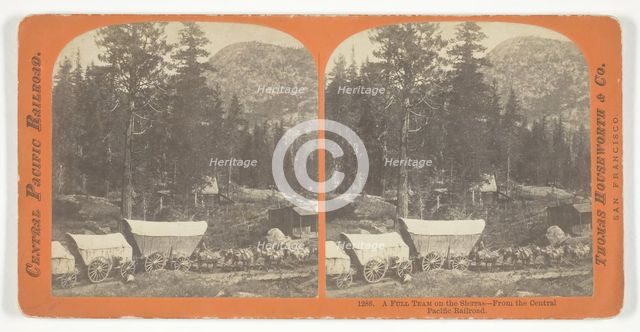 A Full Team on the Sierras - From the Central Pacific Railroad, 1867. Creator: Lawrence & Houseworth.