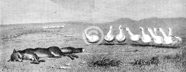"A Game of Fox and Geese," by B. Riviere, 1870. Creator: Unknown.