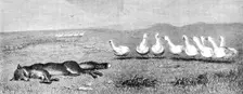 "A Game of Fox and Geese," by B. Riviere, 1870. Creator: Unknown