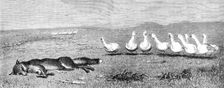 "A Game of Fox and Geese," by B. Riviere, 1870. Creator: Unknown