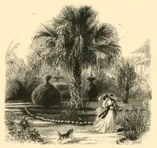 A Garden in Charleston 1872. Creator: John J. Harley
