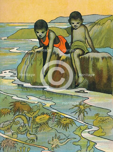 'A Garden in the Sea', 1912. Artist: Charles Robinson.