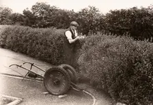 A gardener clips a privet hedge, Rowntree factory, York, Yorkshire, 1955