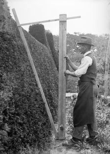 A gardener in the grounds of Great Dixter, East Sussex, c1919-c1933. Artist: Nathaniel Lloyd