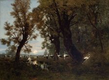 A Gathering of Storks, 1879. Creator: Wladyslaw Malecki