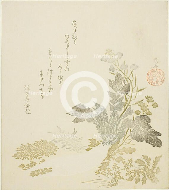 A Giant Radish (daikon), Chrysanthemums and Ferns, About 1820. Creator: Shinsai.