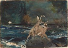 A Good Shot, Adirondacks, 1892. Creator: Winslow Homer