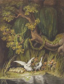 A Goose and a Gander with their Goslings Honking in Alarm as Two Foxes..., mid-18th-early 19th cent. Creator: Johann Heinrich Wilhelm Tischbein