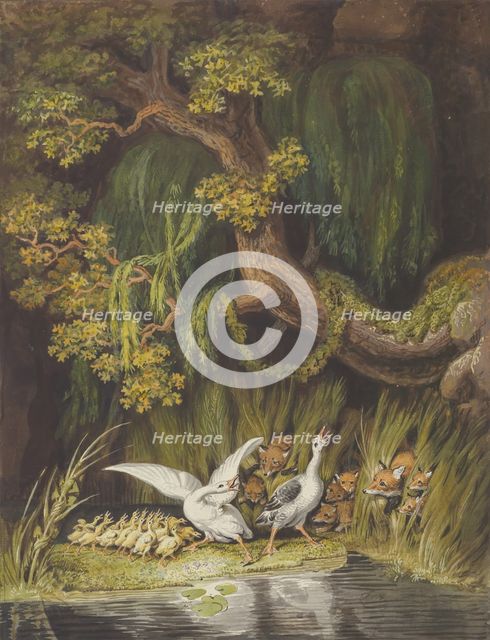 A Goose and a Gander with their Goslings Honking in Alarm as Two Foxes..., mid-18th-early 19th cent. Creator: Johann Heinrich Wilhelm Tischbein.