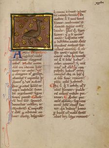 A Goose; Bestiary, about 1270. Creator: Unknown