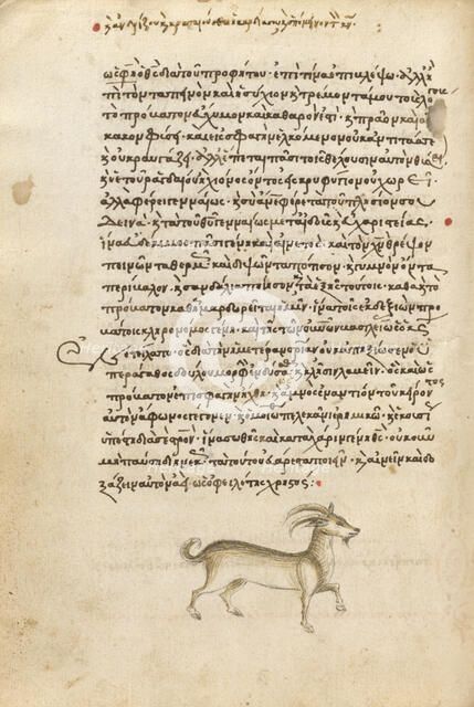 A Goat, 1510-1520. Creator: Unknown.