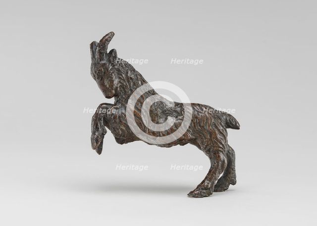 A Goat. Creator: Andrea Briosco.