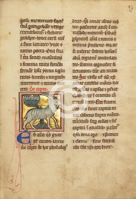 A Goat; De Natura Avium; De Pastoribus et Ovibus; Bestiarium, 1277 or after. Creator: Unknown.