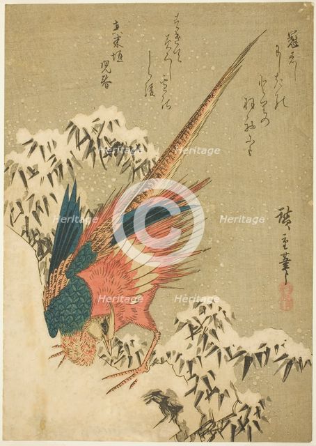 A Golden Pheasant amid Snow-Covered Bamboo on a Steep Hillside, c. 1840. Creator: Ando Hiroshige.