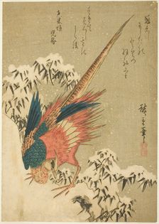 A Golden Pheasant amid Snow-Covered Bamboo on a Steep Hillside, c. 1840. Creator: Ando Hiroshige