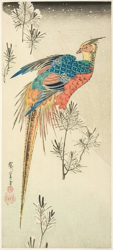 A Golden Pheasant Perched on a Steep Snowy Hillside amid Small Pine Saplings, c. 1833. Creator: Ando Hiroshige