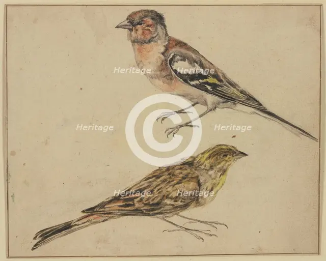 A goldfinch and a linnet, 17th century. Creator: Melchior d'Hondecoeter.