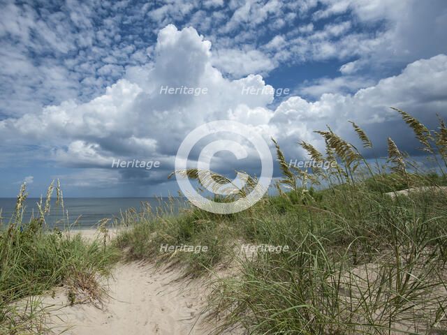 A Glorious Day. Creator: Eve Turek.