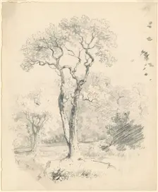 A Glade of Trees, c. 1835-1840. Creator: James Goodwyn Clonney