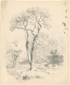 A Glade of Trees, c. 1835-1840. Creator: James Goodwyn Clonney