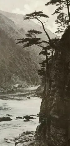 A Glen on the Katsura-Gawa 1910. Creator: Herbert Ponting