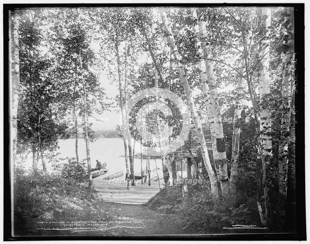 A glimpse of Raquette Lake from St. Hubert's Isle, Adirondack Mountains, c1902. Creator: William H. Jackson.