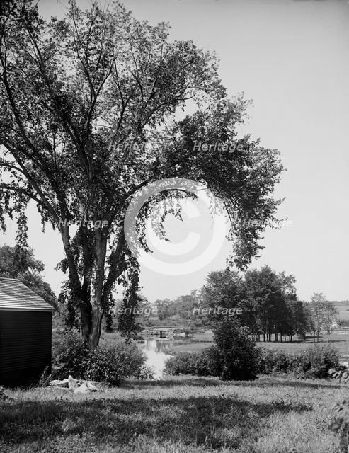 A Glimpse of the Resumpscot [sic] River, Riverton Park, Portland, Me., between 1900 and 1915. Creator: Unknown.