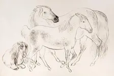 A group of three horses, 1825-1839. Creator: James Howe