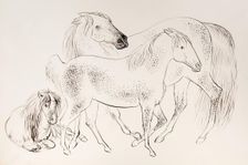 A group of three horses, 1825-1839. Creator: James Howe