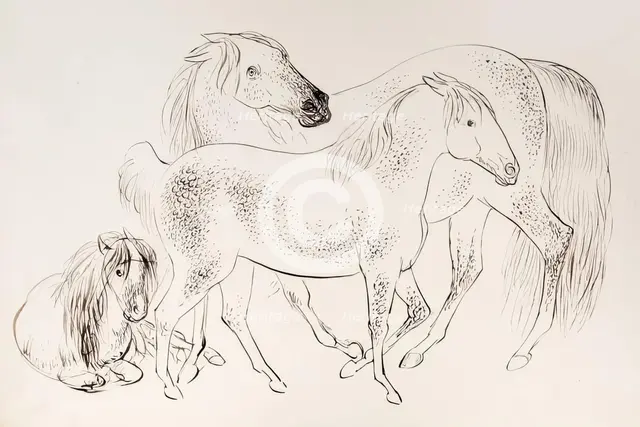 A group of three horses, 1825-1839. Creator: James Howe.